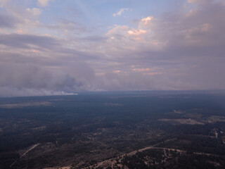 Aerial photo with drone of burnt forest after the fire