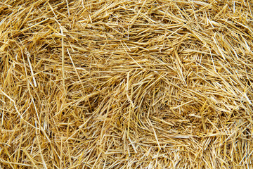Hay texture. Hay bales are stacked in large stacks. Harvesting in agriculture.