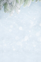 Christmas border. Holiday christmas tree garland on light blue snowy background. Christmas tree branches with snow. Festive Christmas banner or background.