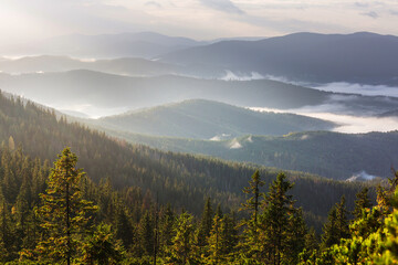 Obraz premium Carpathian mountains