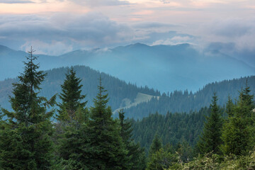Naklejka premium Carpathian mountains