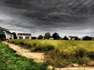 Bedrohliche dunkle Wolken ueber gelbgruenen Feldern