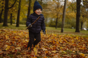 Cute little boy with happy smiling face wearing blue jacket and knit beanie running along autumn...