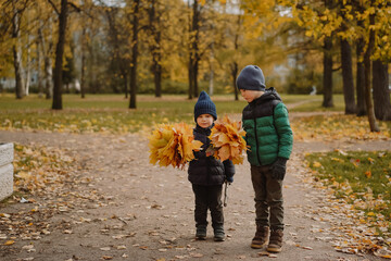 cute smiling caucasian boys standing on a lane a park on autumn day. Little one holding bunches of yellow maple leaves.