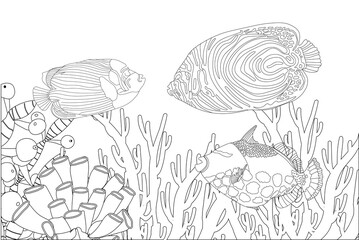 Fish exotic coloring. Antistress coloring page. Sea creatures. Ocean fish. illustration © Анна Таранкова