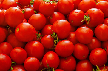 red tomatoes background. Group of tomatoes