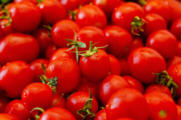 red tomatoes background. Group of tomatoes
