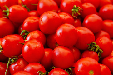 red tomatoes background. Group of tomatoes