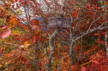 日本百名山　秩父両神山の景色