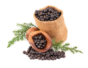 Dry juniper berries in small burlap sack with green branch, isolated on white background. Common Juniper fruits.
