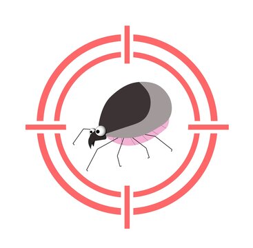 Mite parasite warning sign. Bloodsucking. The tick is red. Tick Allergy. Epidemic. arachnid, acarology, acariasis, Tick-borne encephalitis, Lyme disease.