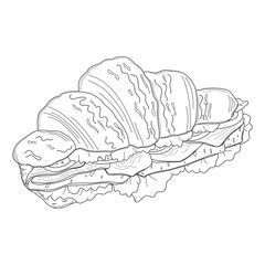 A sandwich. Vector drawing on a white background.