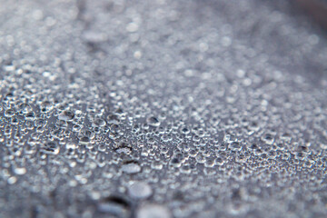 raindrops gathered on the canopy