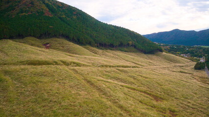 箱根　仙石原　秋のMiscanthus草原を空撮