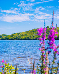 plan d'eau du miallet