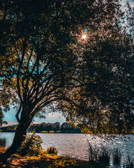 plan d'eau du miallet