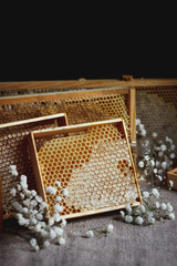 Honeycombs with flowers