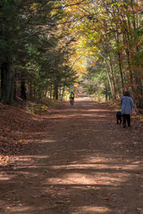 A woman walking her black lab on a footpath during fall foliage taken from behind both of them.