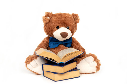 Naklejka Stuffed teddy bear with book isolated, preschool or kindergarten studying. Plush doll reading fairy tales and stories from textbooks. Intelligent smart cuddly toy with blue bow. Hobbies and relaxation