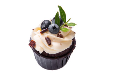 Sponge cake with cream and blueberries on a white isolated background.
