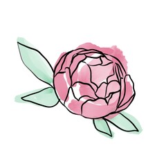 illustration of a rose
