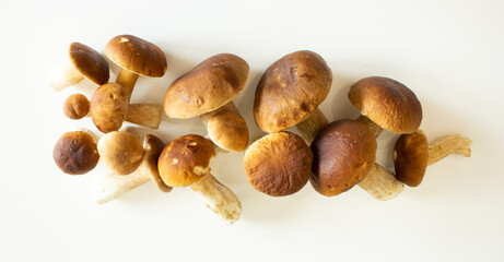 Top view of mushrooms on white background.