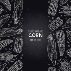 Vector chalkboard style frame with organic corn cobs