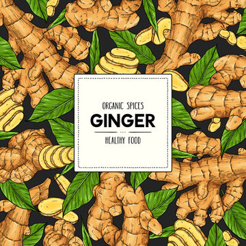 Vector Hand Drawn Banner With Ginger Root, Slices Pieces And Leaves