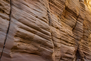 Lick Wash Trail Hike