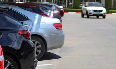 Fototapeta premium Closeup of rear, back side of black car with other cars parking in parking lot in bright sunny day. 