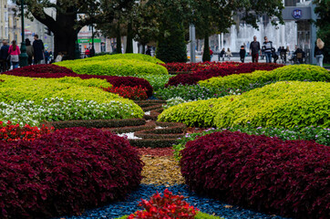 Flowers on the flower bed volumetric flower beds design of city parks autumn flowers on a flower bed are very beautiful