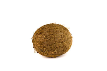 Mature coconut