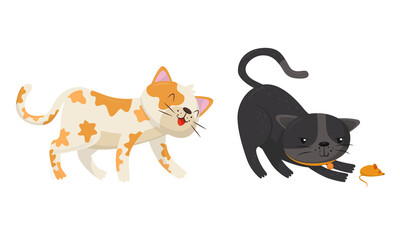 Playful Cats Walking and Playing with Toy Mouse Vector Set