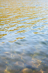Detail of a mountain lake