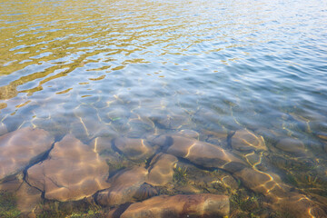 Detail of a mountain lake