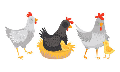 Hen Sitting on Eggs with Chicks Walking Nearby Vector Set