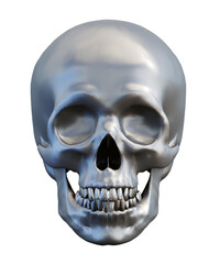 human metal skull isolated on white, front view, 3d render