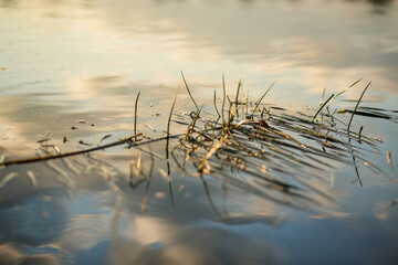 Reflection of clouds in the river surface at sunset
