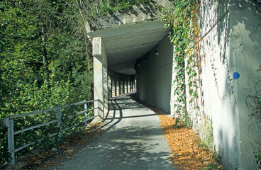 mountain road tunnel entrance. white concrete walls. pillars and arches. sunlight and shadows. trees and vegetation. steel safety barrier.
