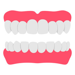Denture teeth vector cartoon illustration isolated on a white background.