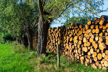 Krajobraz wiejski Podlasia, Polska © podlaski49