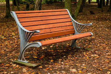 秋の公園のベンチ