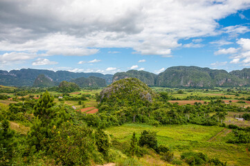Fototapeta na wymiar View of The Vinales Valley (Valle de Vinales), Pinar del Rio, Cuba