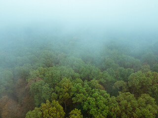 aerial view of autumn forest in mist weather