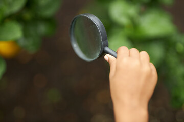 close-up photo of magnifier in forest or garden, knowledge of nature, looking at plants