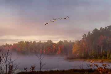 Morning Sunrise