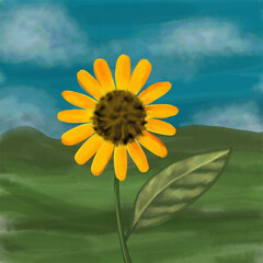 sunflower on blue sky