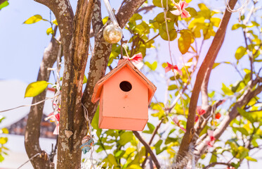 birdhouse nestles hanging on tree