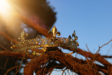 mysterious and magical photo of king crown in the England woods over old tree branch. Medieval period concept.