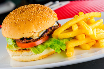 Burger and french fries plate
